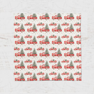 Alternative view of Mousseline -  Camion Noël 24H