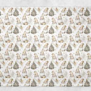 Couverture - Sapin & Gnome